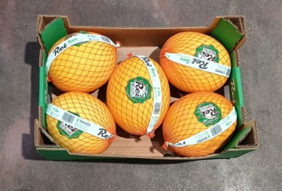 Foto Meloni Gialli Calibro 5 Origine Brasile Marchio Rei 3