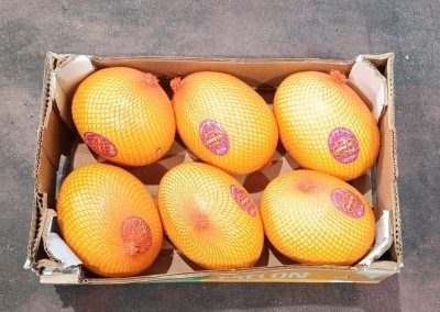 Foto Meloni Gialli Calibro 6 Origine Brasile Marchio Melon 3