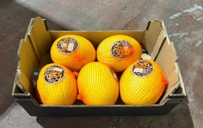 Foto Meloni Gialli Calibro 5 Origine Italia Marchio  La Primavera                           1