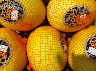 Foto Meloni Gialli Calibro 5 Origine Italia Marchio  La Primavera                           2