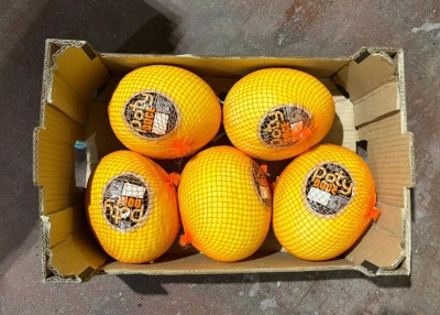 Foto Meloni Gialli Calibro 5 Origine Italia Marchio  La Primavera                           3