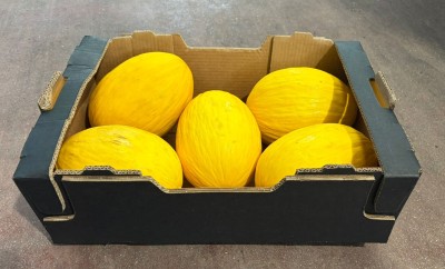 Foto Meloni Gialli Calibro 5 Origine Costarica Marchio Banafruit 1