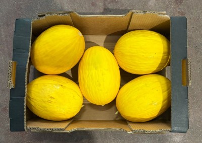 Foto Meloni Gialli Calibro 5 Origine Costarica Marchio Banafruit 3