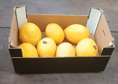 Foto Meloni Gialli Calibro 7 Origine Italia Marchio Cartone Nero       1