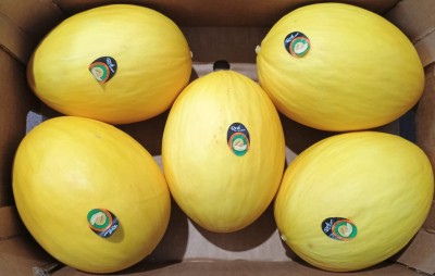 Foto Meloni Gialli Calibro 5 Origine Brasile Marchio Cartone Nero  2