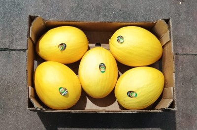 Foto Meloni Gialli Calibro 5 Origine Brasile Marchio Cartone Nero  3