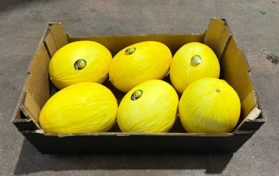 Foto Meloni Gialli Calibro 6 Origine Brasile Marchio Battaglio 1