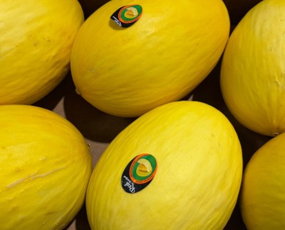 Foto Meloni Gialli Calibro 6 Origine Brasile Marchio Battaglio 2