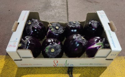 Foto Melanzane Viola Origine Italia Marchio Sicilia  1