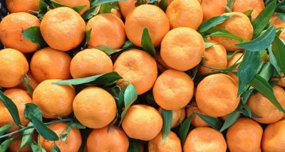 Foto Mandarini  Origine Italia Marchio Mondial 2