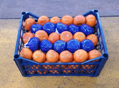 Foto Mandarini Varietà Murcott Calbiro 1 Orine Turchia Marchio Agricola Gloria  1