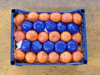 Foto Mandarini Varietà Murcott Calbiro 1 Orine Turchia Marchio Agricola Gloria  3