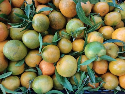 Foto Mandarini Origine Italia Marchio Razzano      2