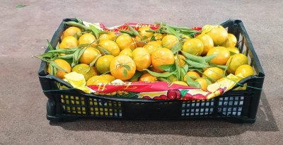 Foto Mandarini Affogliati Origine Italia Marchio Razzano  1