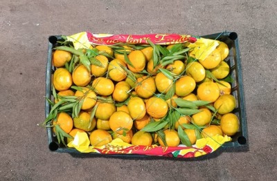 Foto Mandarini Affogliati Origine Italia Marchio Razzano  3