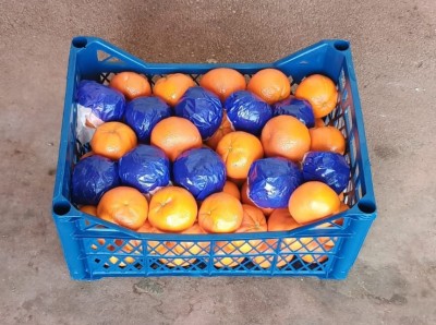 Foto Mandarini Varietà Murcott Calibro 1x Origine Turchia Marchio Agricola Gloria     1