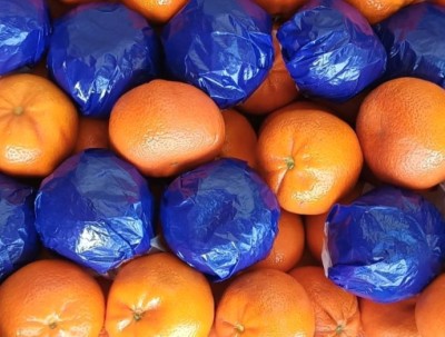 Foto Mandarini Varietà Murcott Calibro 1x Origine Turchia Marchio Agricola Gloria     2