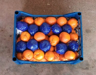 Foto Mandarini Varietà Murcott Calibro 1x Origine Turchia Marchio Agricola Gloria     3