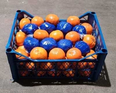 Foto Mandarini Varietà Murcott Calibro 1xx  Origine Turchia Marchio Agricola Gloria           1