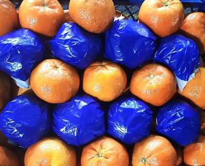 Foto Mandarini Varietà Murcott Calibro 1xx  Origine Turchia Marchio Agricola Gloria           2