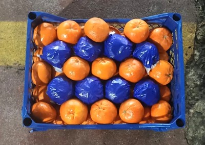 Foto Mandarini Varietà Murcott Calibro 1xx  Origine Turchia Marchio Agricola Gloria           3