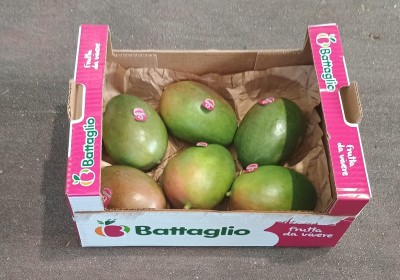 Foto Mango Varietà Palmer Calibro 6 Origine Brasile Marchio Battaglio  1