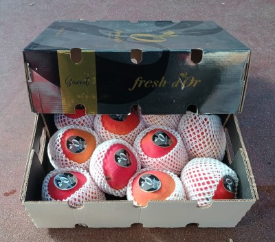 Foto Mango Varietà Via Aerea Calibro 10 Origine Peru Marchio Battaglio 1