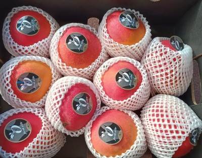 Foto Mango Varietà Via Aerea Calibro 10 Origine Peru Marchio Battaglio 2