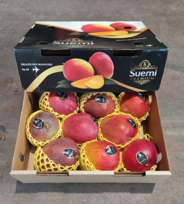 Foto Mango Via Aerea Origine Brasile Marchio Battaglio 1