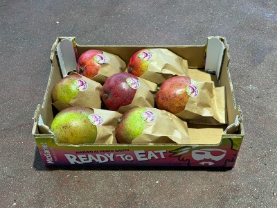 Foto Mango Ready to Eat Varietà Tommy Calibro 7 Origine Brasile Marchio Ready     1