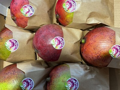 Foto Mango Ready to Eat Varietà Tommy Calibro 7 Origine Brasile Marchio Ready     2
