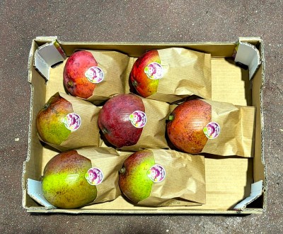 Foto Mango Ready to Eat Varietà Tommy Calibro 7 Origine Brasile Marchio Ready     3