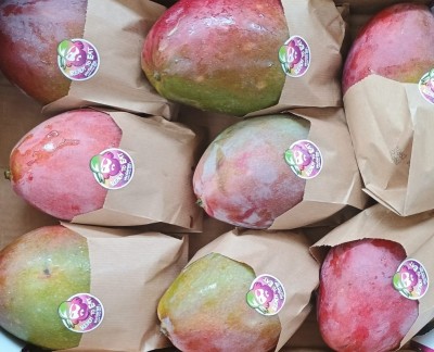 Foto Mango Varietà Palmer Calibro 8 Origine Spagna Marchio Ready  2