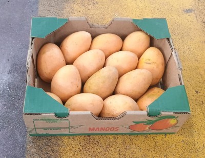 Foto Mango Gota Calibro 9 Origine Repubblica Domenicana Marchio Grand Valle  1