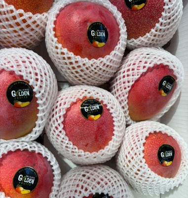 Foto Mango Kent Via Aerea Calibro 9 Origine Perù Marchio Delicius 2