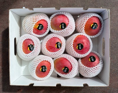 Foto Mango Kent Via Aerea Calibro 9 Origine Perù Marchio Delicius 3