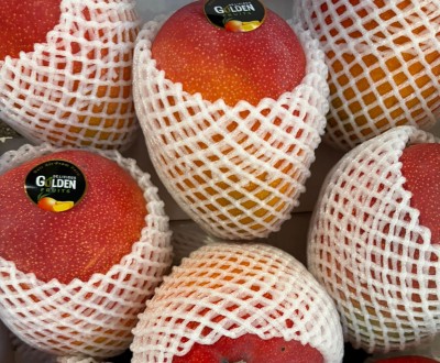 Foto Mango Via Aerea Calibro 9 Origine Peru Marchio Delicius 2