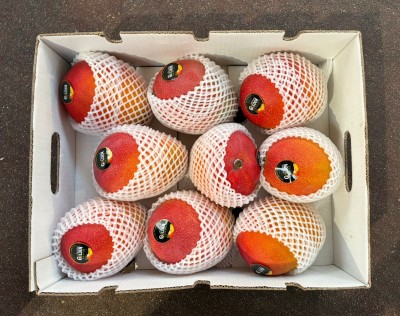 Foto Mango Via Aerea Calibro 9 Origine Peru Marchio Delicius 3