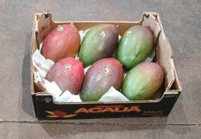 Foto Mango Varietà Palmer Calibro 7/9 Origine Brasile Marchio Acaua 1
