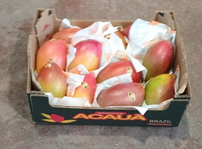 Foto Mango Varietà Palmer Calibro 12 Origine Brasile Marchio Acaua             1