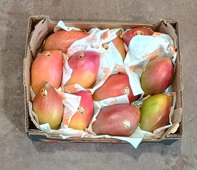 Foto Mango Varietà Palmer Calibro 12 Origine Brasile Marchio Acaua             3