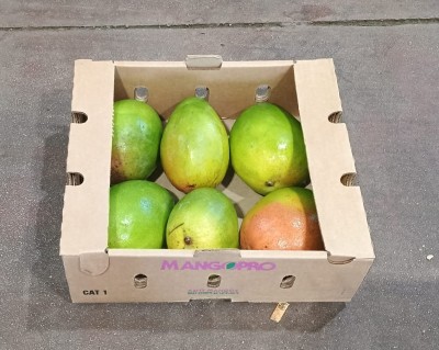 Foto Mango Varietà Keint Origine Brasile Marchio Sebastiao 1