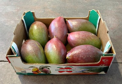 Foto Mango Palmer Calibro 7/9 Origine Brasile Marchio Sebastiao 1