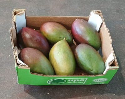 Foto Mango Varietà Palmer Calibro 7/9 Origine Brasile Marchio Upa  1