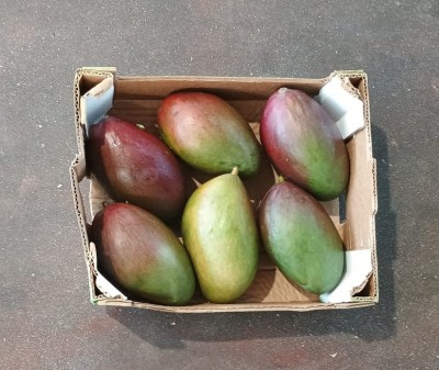Foto Mango Varietà Palmer Calibro 7/9 Origine Brasile Marchio Upa  3