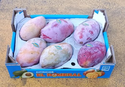 Foto Mango Varietà Mangosteen Calibro 6 Origine Spagna Marchio El Romeral 1