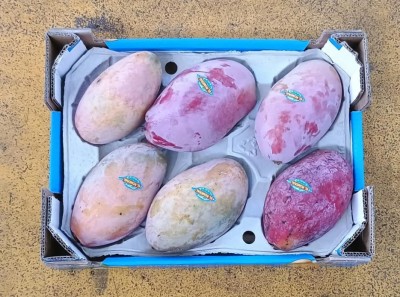 Foto Mango Varietà Mangosteen Calibro 6 Origine Spagna Marchio El Romeral 3