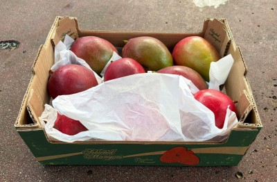Foto Mango Tommy  Calibro 8/10 Origine Brasile Marchio Selected Mangoes 1