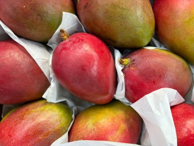 Foto Mango Tommy  Calibro 8/10 Origine Brasile Marchio Selected Mangoes 2