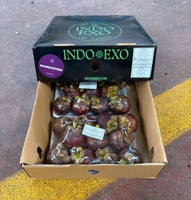 Foto Mangosteen Origine Colombia Marchio Indoexo 1